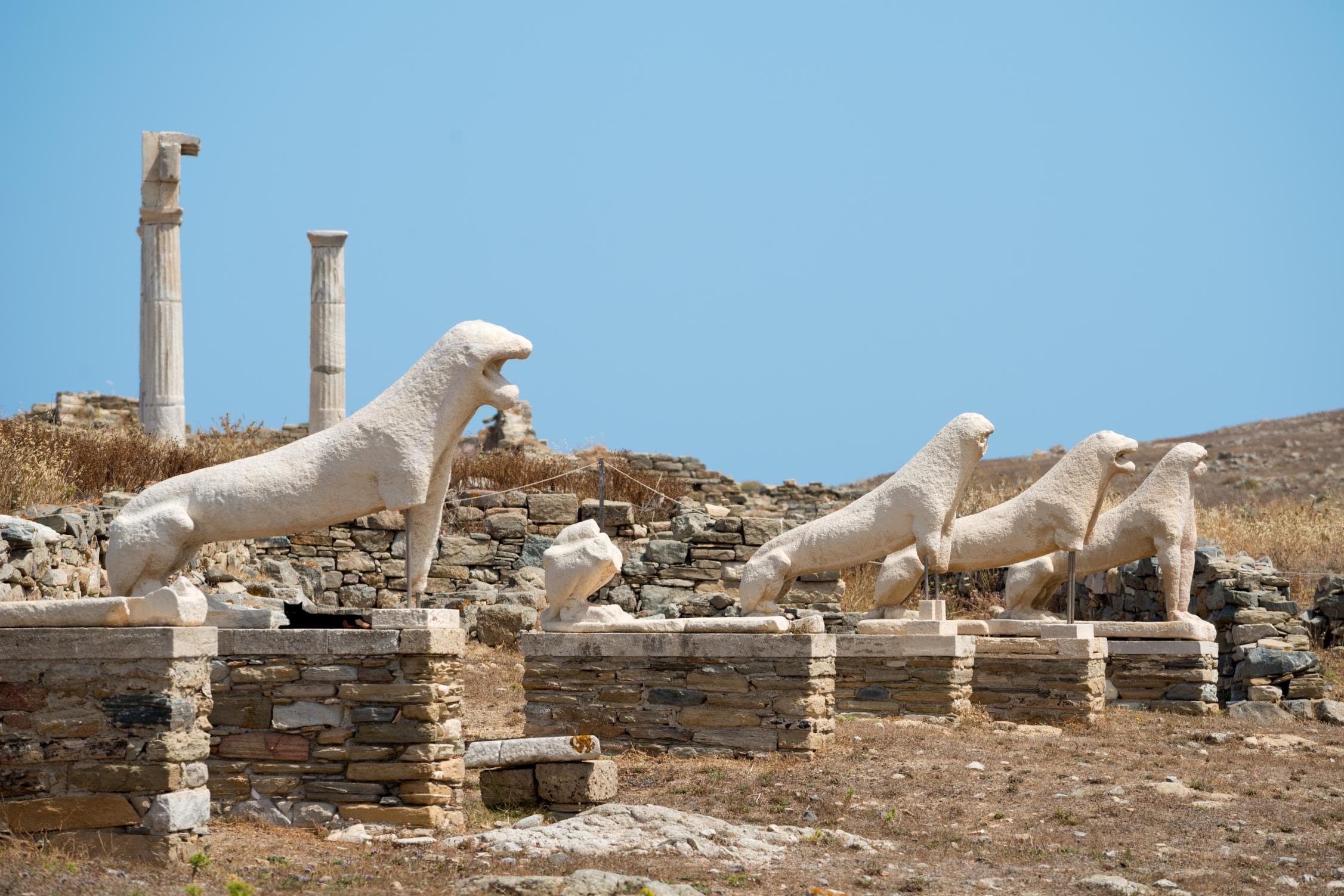 Rhenia & Delos Islands | Private 5-hour yacht experience 